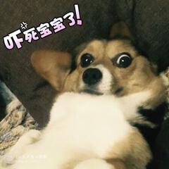 БΛЪч魚魚 БΛЪч魚魚