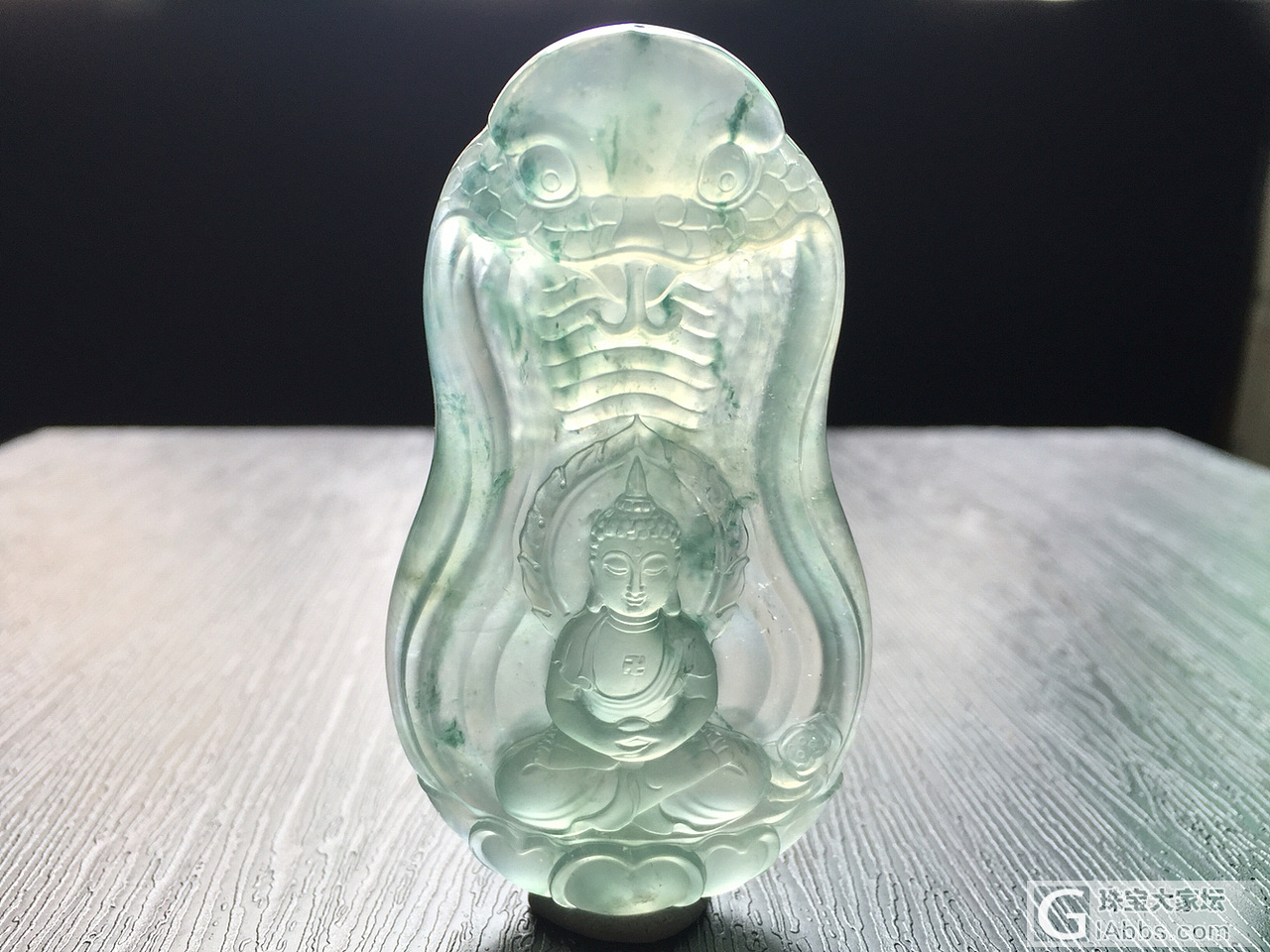 浩锐作品 【蛇王护主】