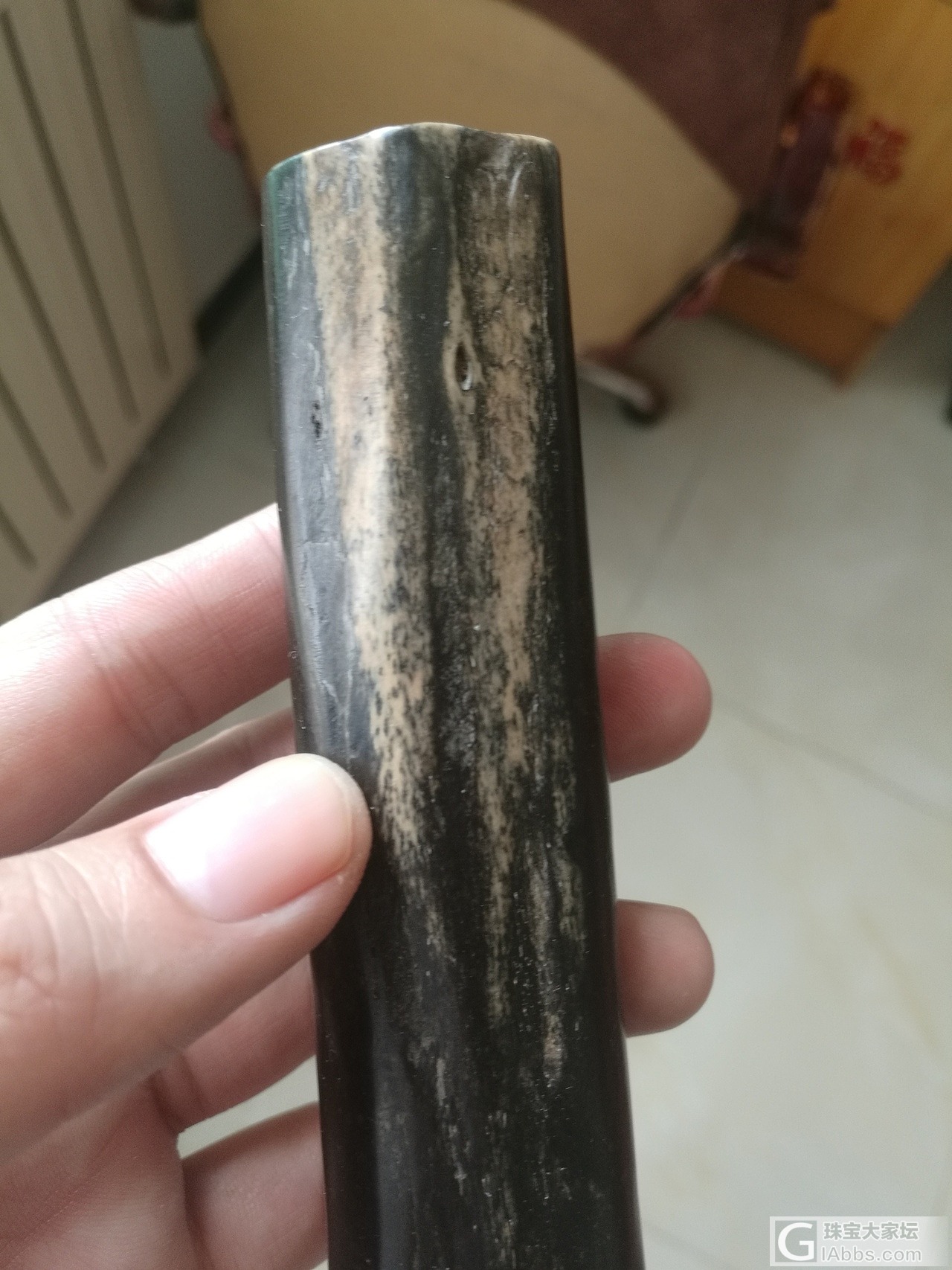 看看是虎骨吗?卖家说出土的?